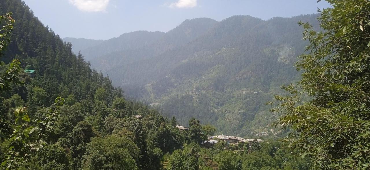 Mozo Inn&Cafe Jibhi Banjār Esterno foto