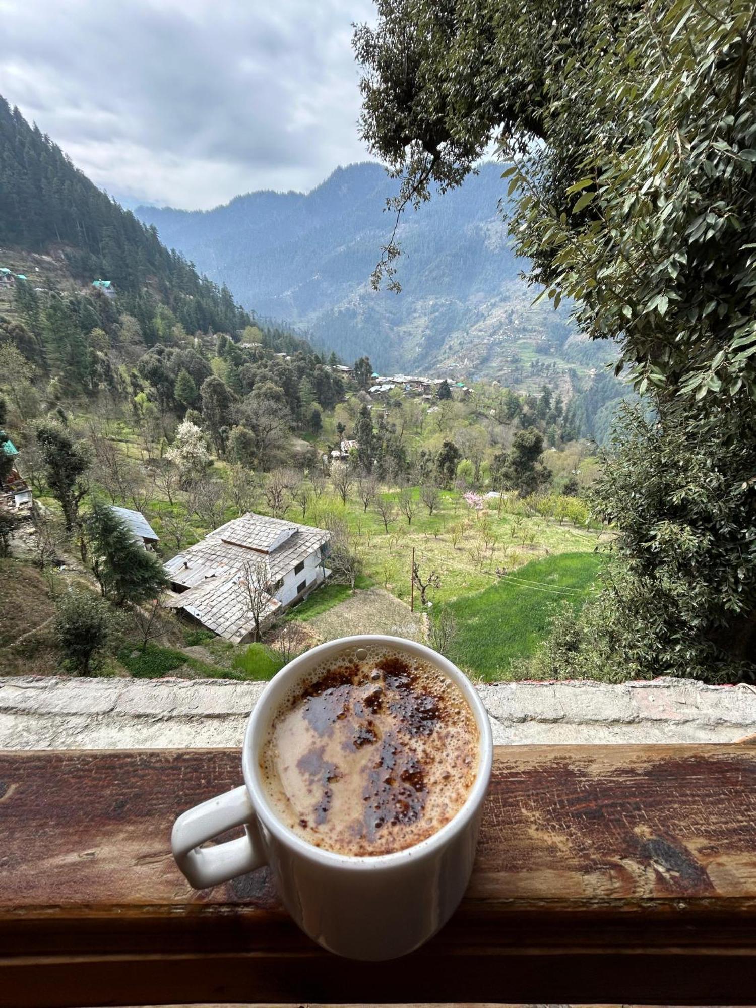 Mozo Inn&Cafe Jibhi Banjār Esterno foto
